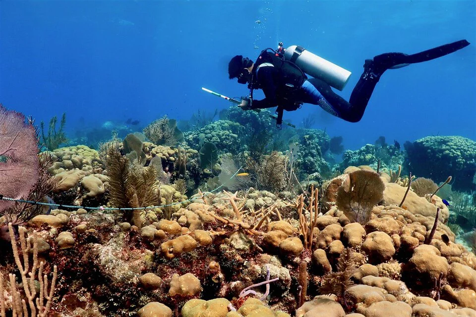 Hướng dẫn phương tiện đi đến Sihanoukville, Koh Rong và Koh Rong Samloem