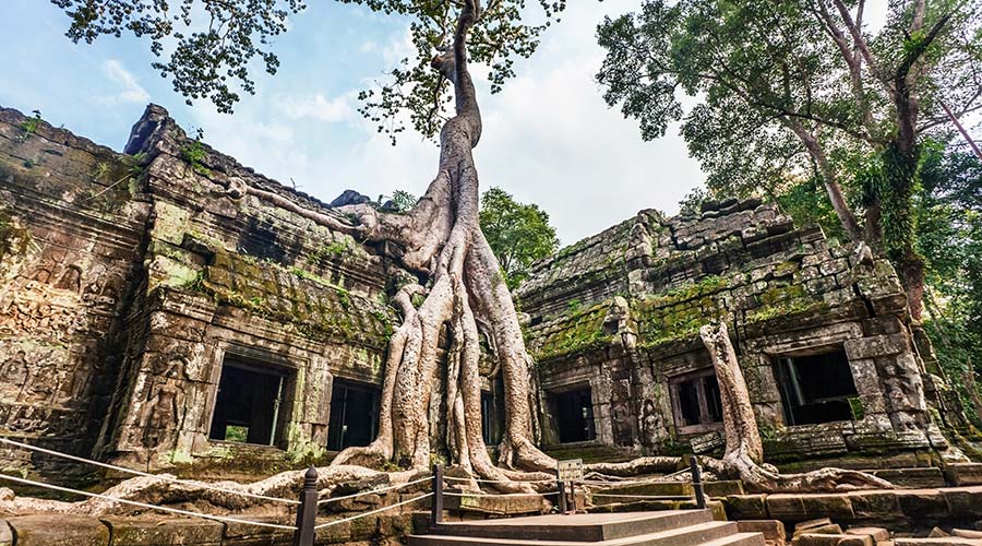 Đền Ta Prohm Du lịch Campuchia tự túc dịp noel