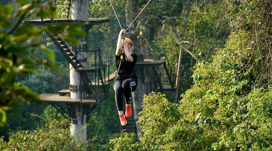 Tour zipline Flight of Gibbons Angkor