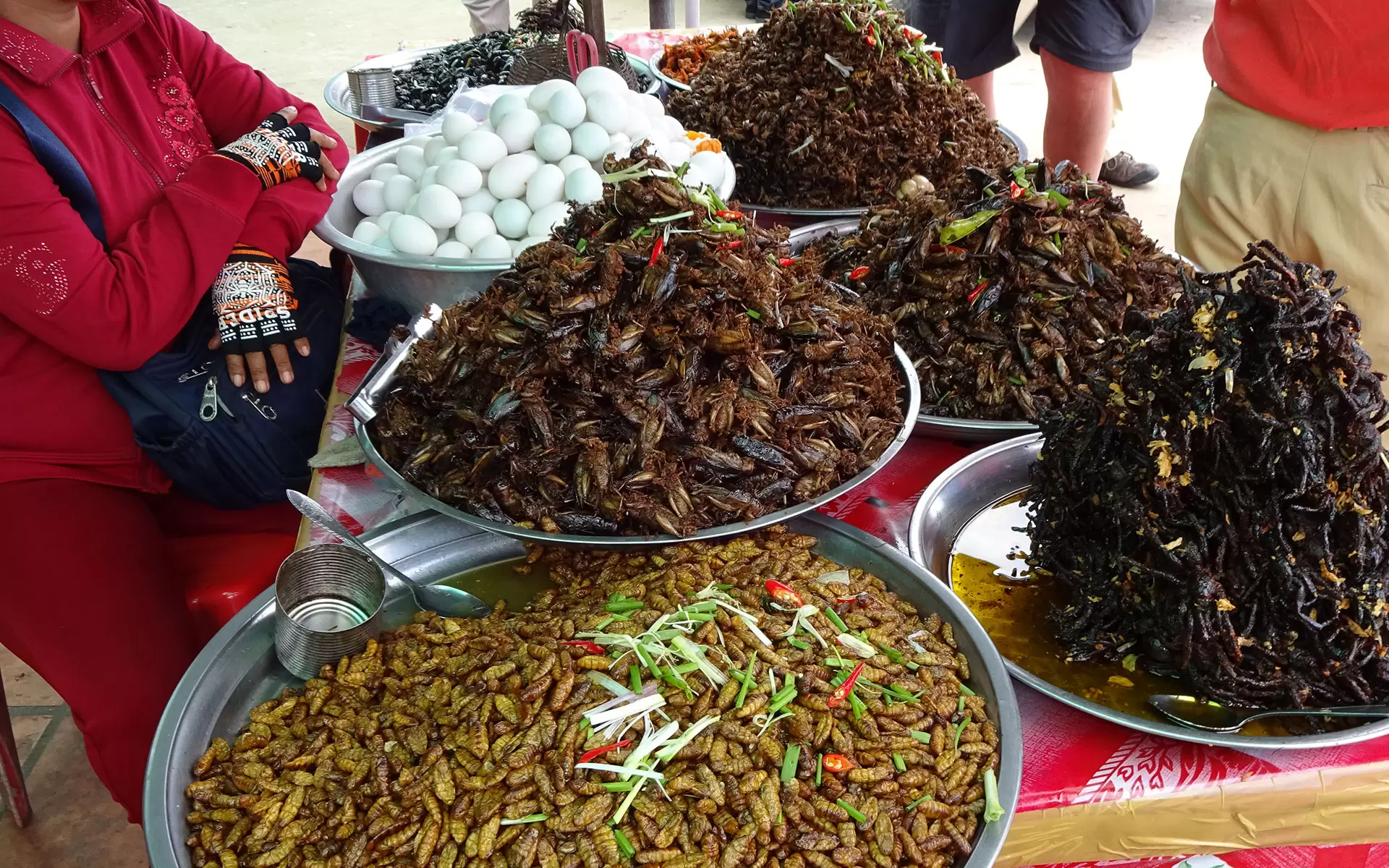 Fried insects