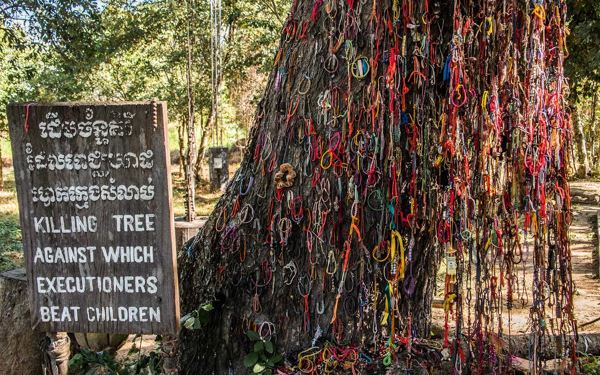 The Killing Tree top 10 best things to do in Cambodia