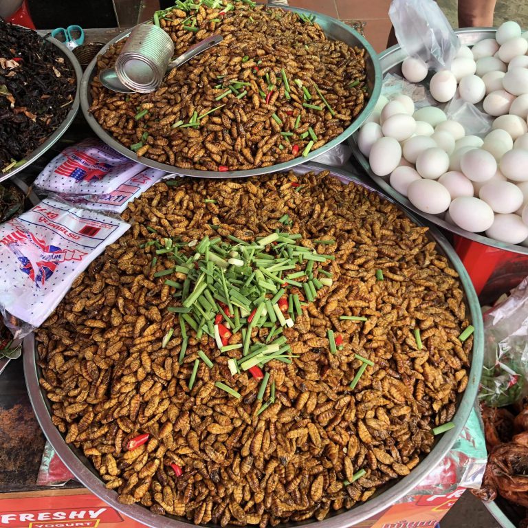 Top 7 trải nghiệm khi du lịch Campuchia
